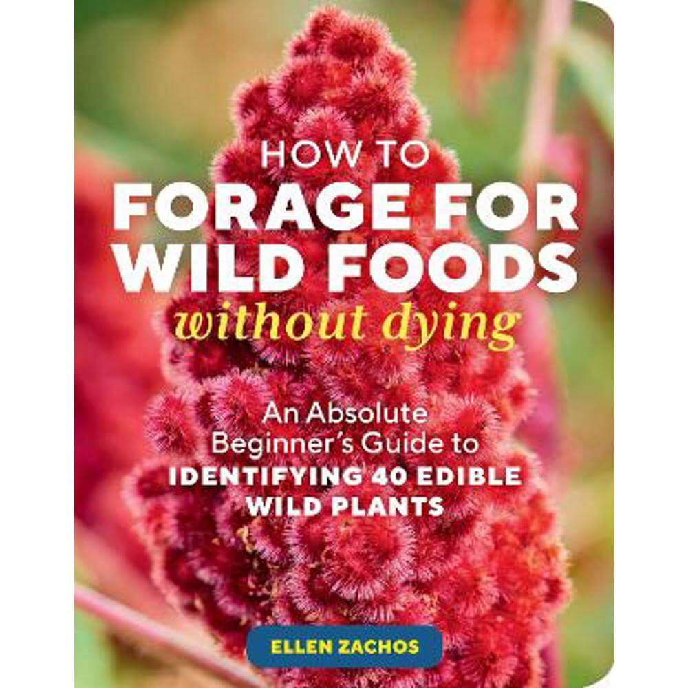 How to Forage for Wild Foods without Dying: An Absolute Beginner's Guide to Identifying 40 Edible Wild Plants (Paperback) - Ellen Zachos